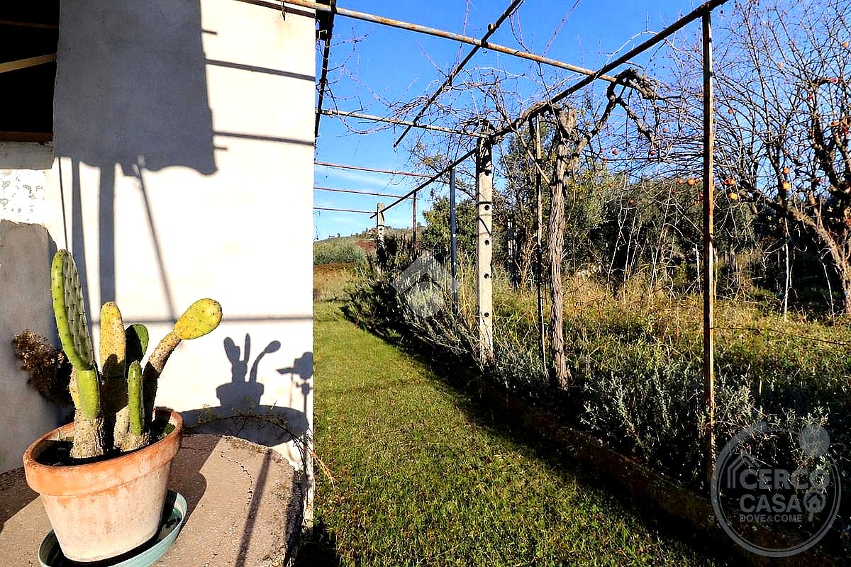 CASA INDIPENDENTE VENDITA TERNI CAMPOMICCIOLO · foto 6