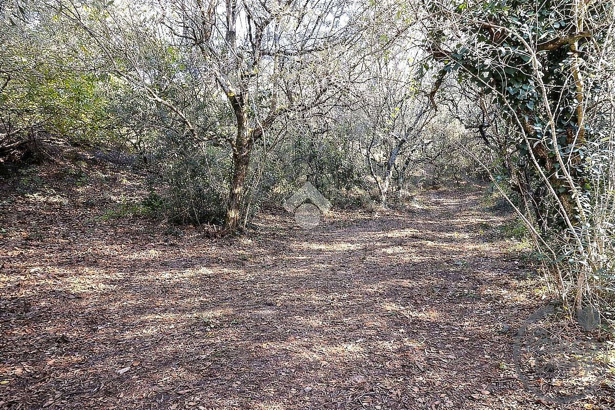 TERRENO EDIFICABILE VENDITA TERNI CESURE VALENZA · foto 4