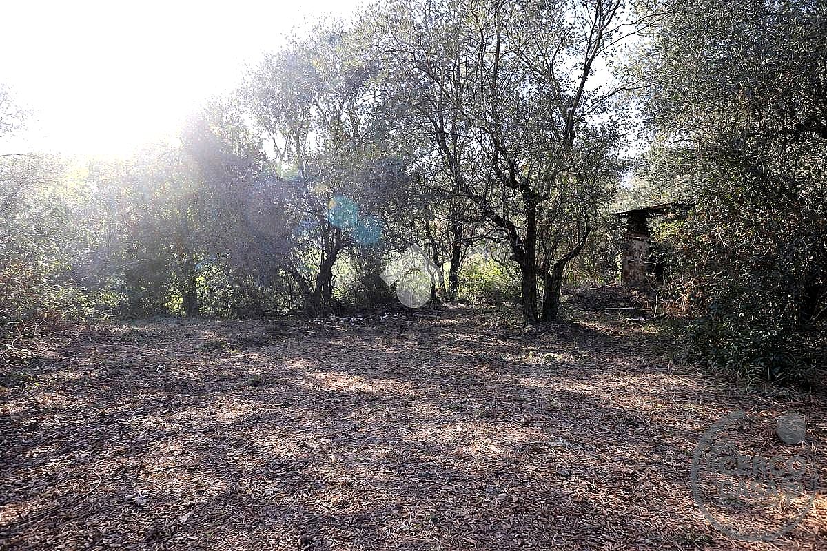 TERRENO EDIFICABILE VENDITA TERNI CESURE VALENZA · foto 5