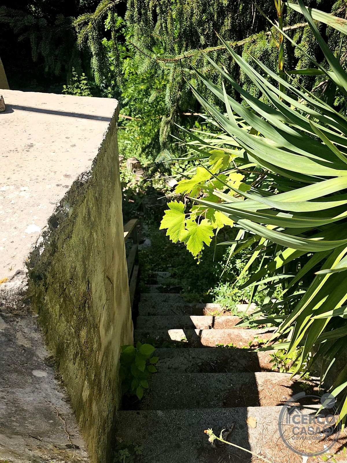 CASA INDIPENDENTE VENDITA TERNI · foto 3