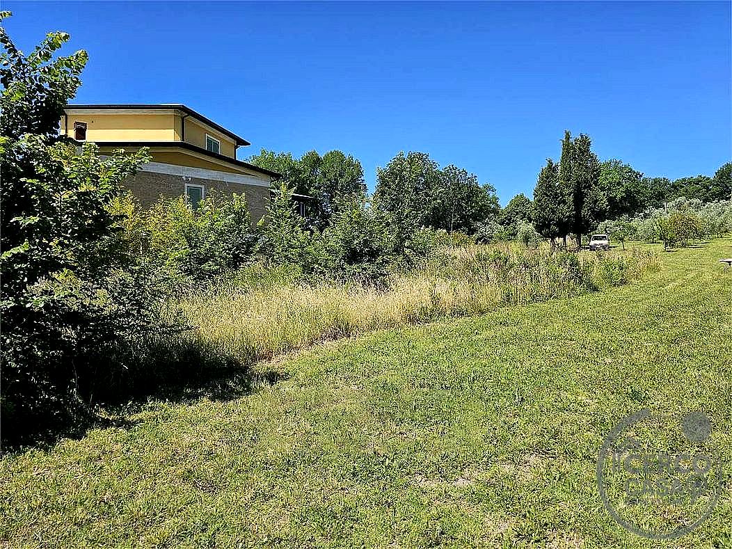 TERRENO EDIFICABILE VENDITA TERNI TOANO · foto 4