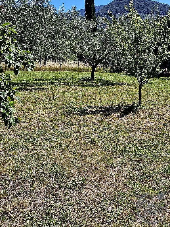 TERRENO EDIFICABILE VENDITA TERNI TOANO · foto 7