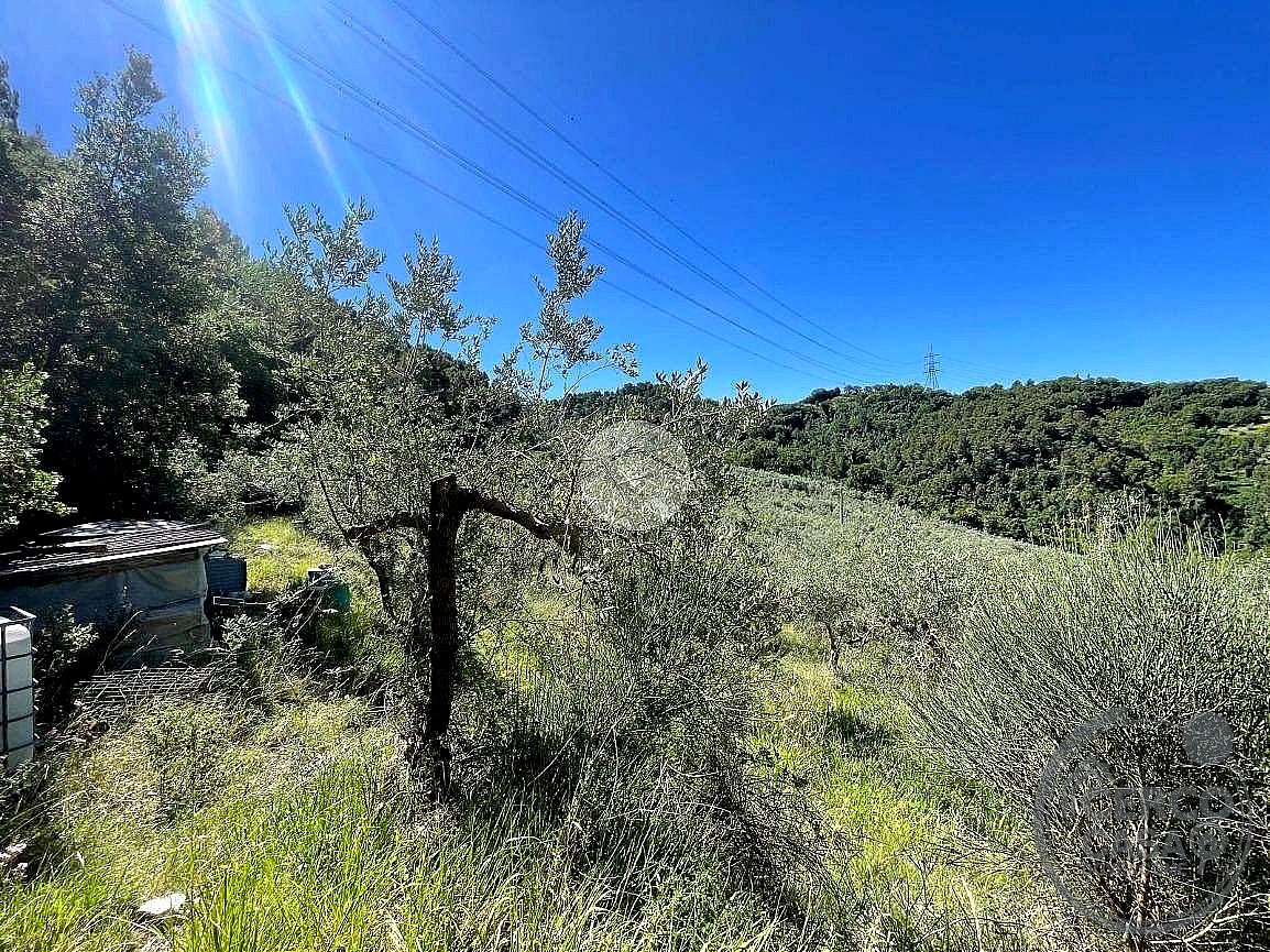 TERRENO AGRICOLO VENDITA TERNI SAN LIBERATORE · foto 2
