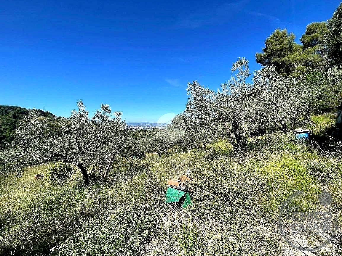 TERRENO AGRICOLO VENDITA TERNI SAN LIBERATORE · foto 3