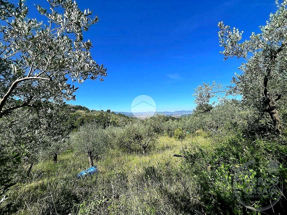 TERRENO AGRICOLO VENDITA TERNI SAN LIBERATORE · foto 4