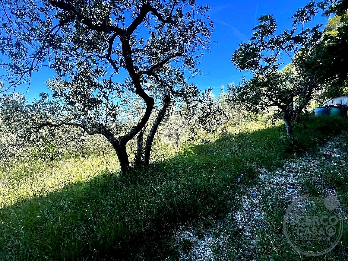 TERRENO AGRICOLO VENDITA TERNI SAN LIBERATORE · foto 5