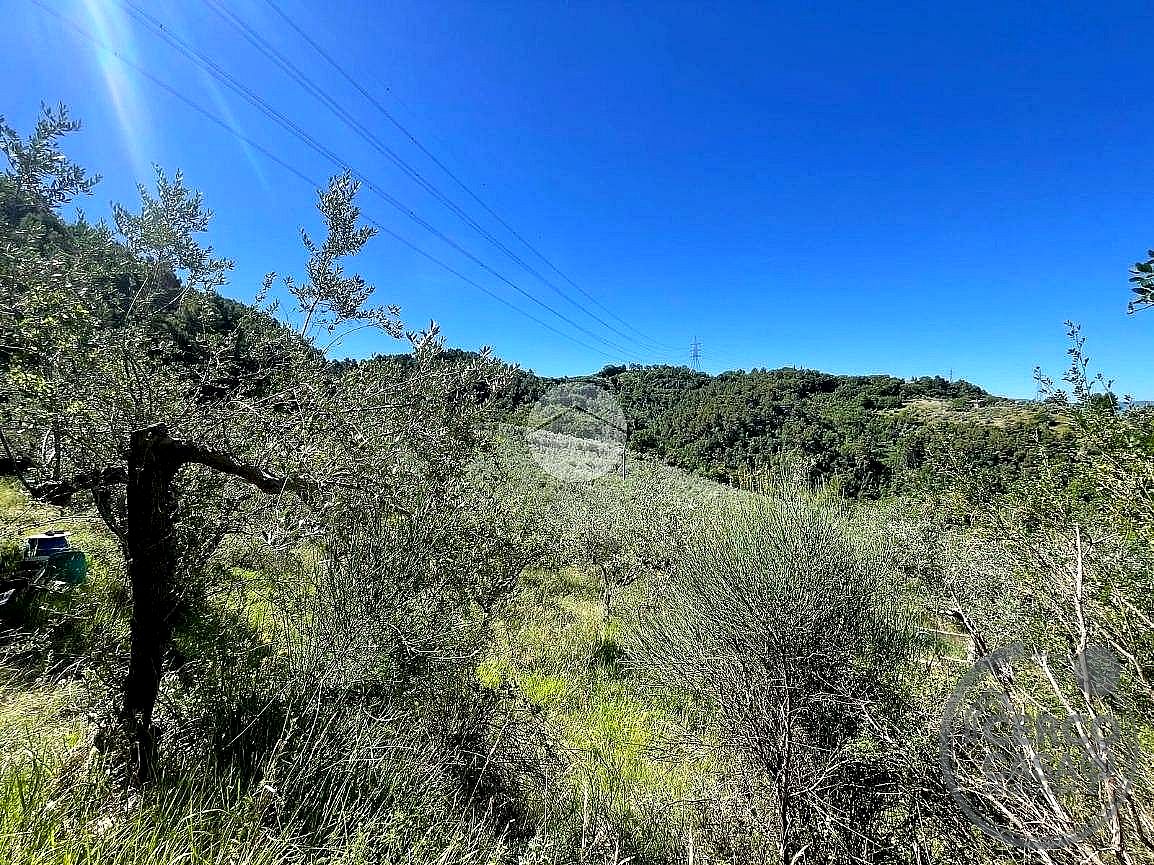 TERRENO AGRICOLO VENDITA TERNI SAN LIBERATORE · foto 7