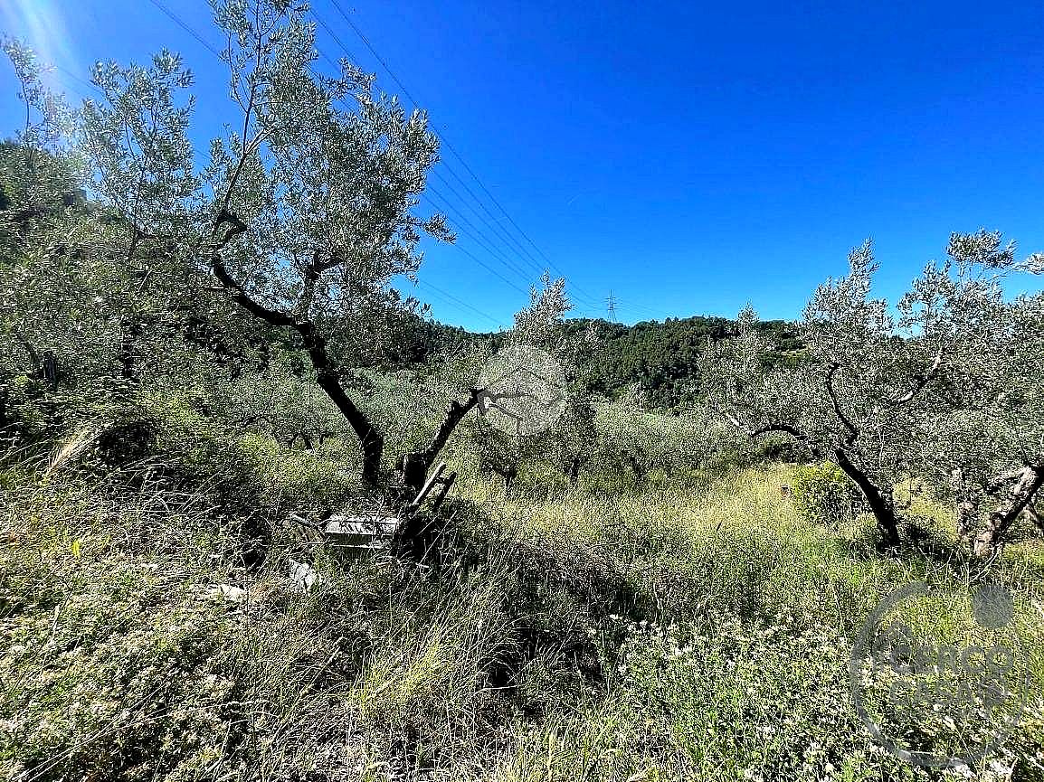 TERRENO AGRICOLO VENDITA TERNI SAN LIBERATORE · foto 8