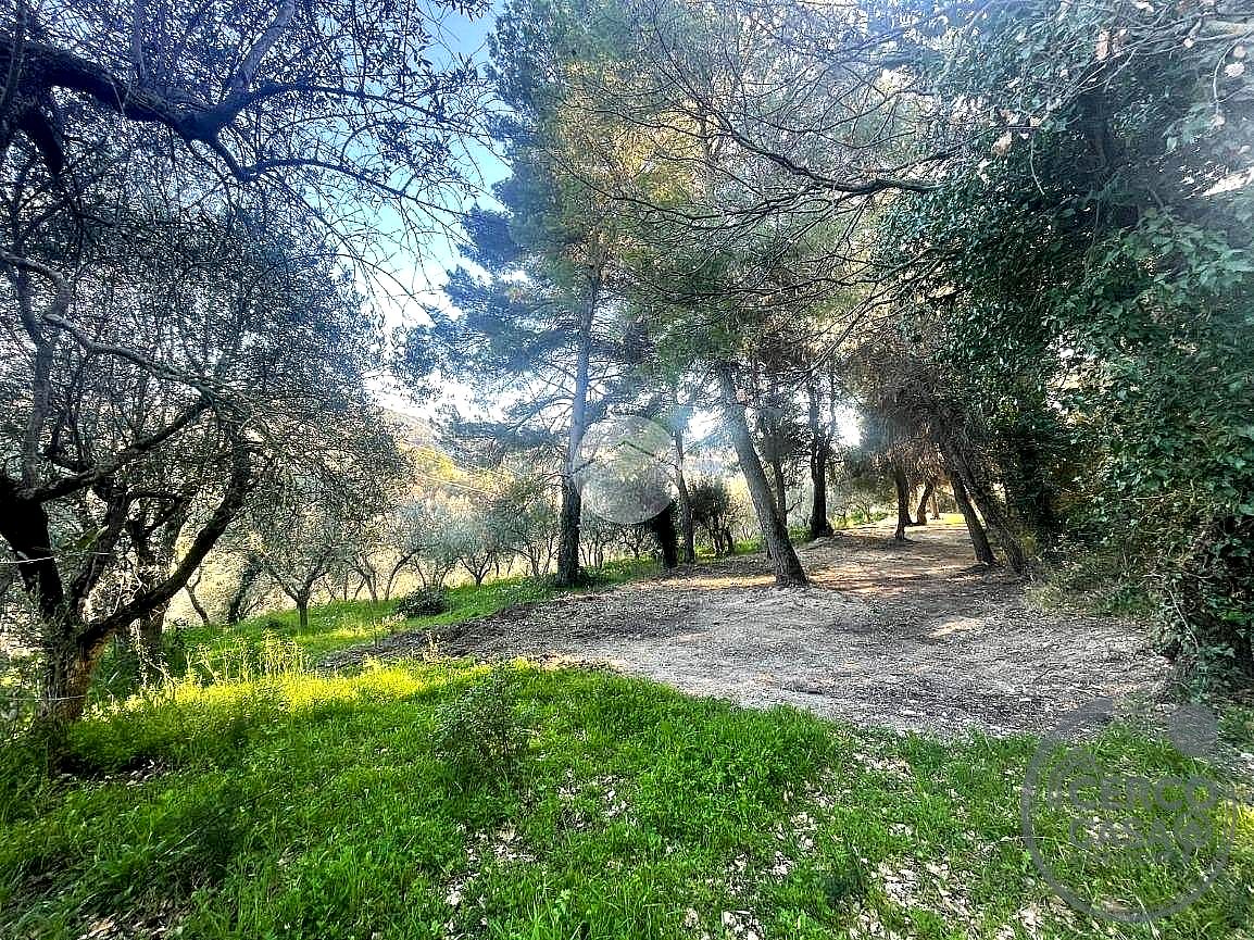 TERRENO EDIFICABILE VENDITA TERNI · foto 11