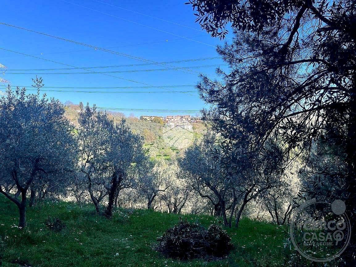 TERRENO EDIFICABILE VENDITA TERNI · foto 6