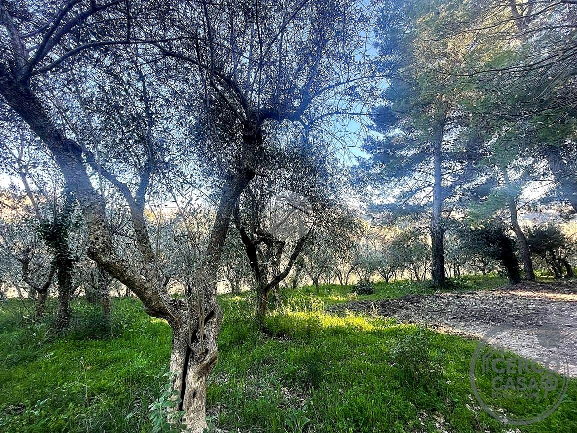 TERRENO EDIFICABILE VENDITA TERNI · foto 8