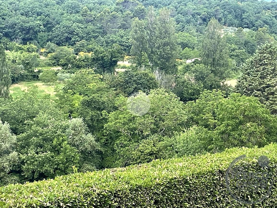 TERRENO EDIFICABILE VENDITA TERNI PORZANO · foto 4