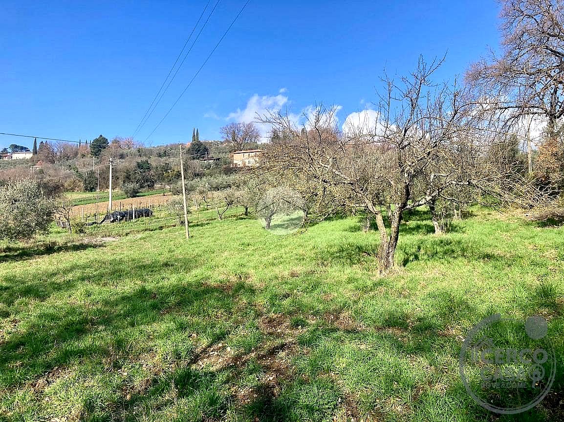 TERRENO EDIFICABILE VENDITA TERNI COLLESTATTE · foto 3