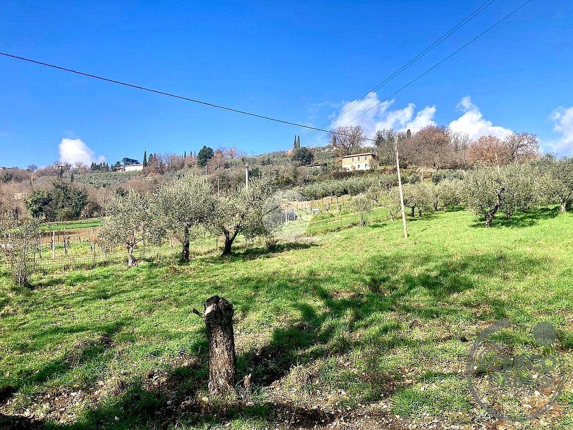 TERRENO EDIFICABILE VENDITA TERNI COLLESTATTE · foto 4