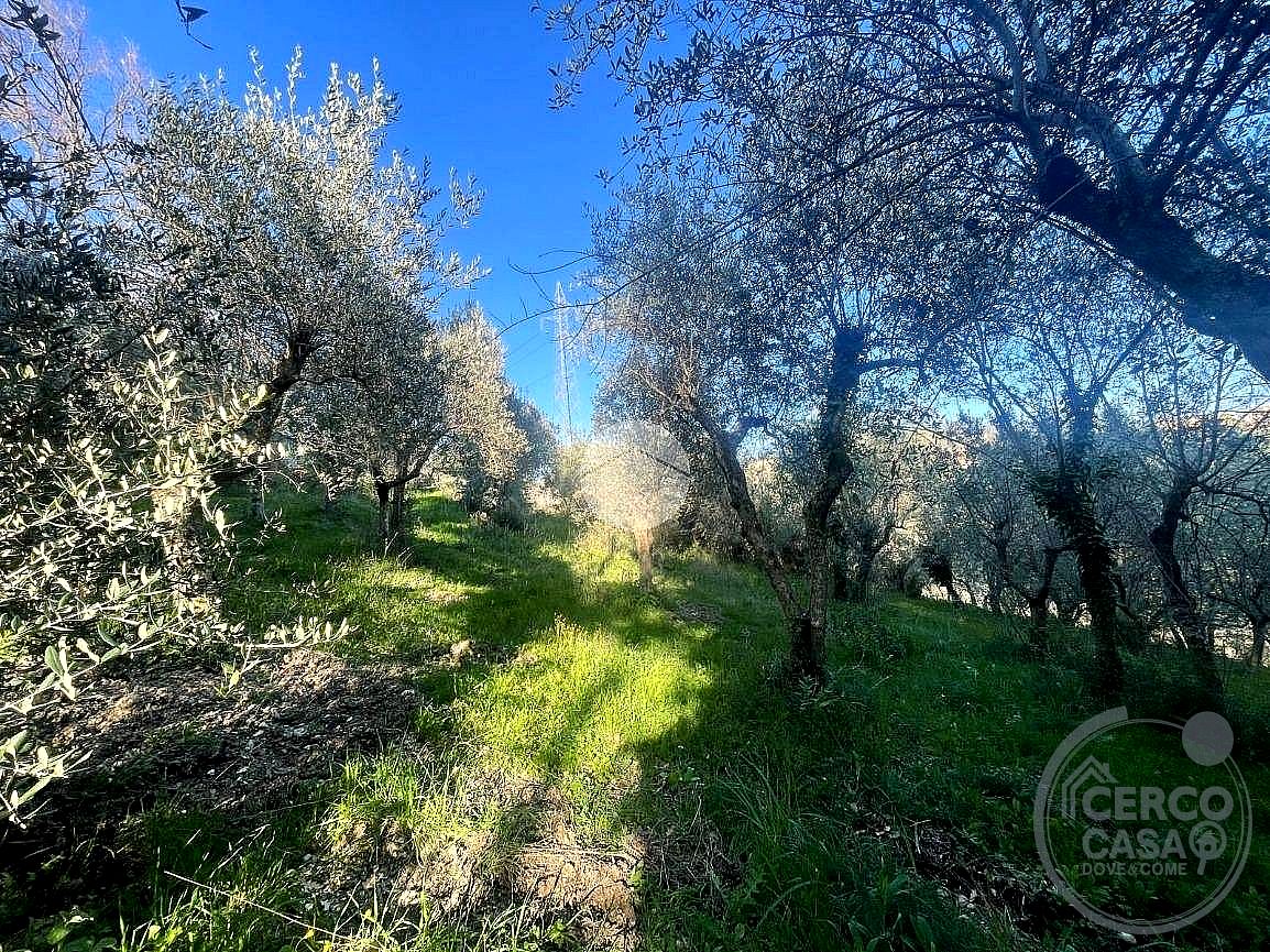 TERRENO VENDITA TERNI · foto 4