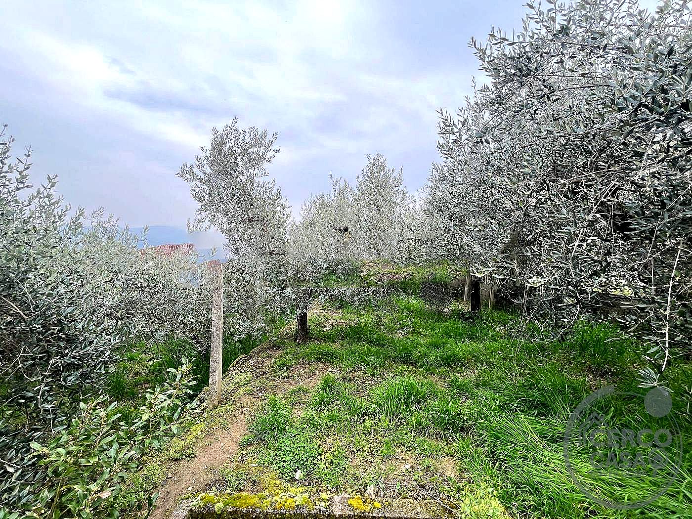 TERRENO EDIFICABILE VENDITA CITTÀ DELLA PIEVE FONTIGNANO