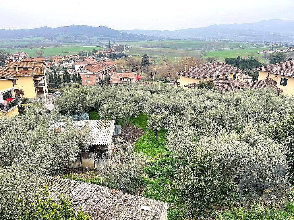 TERRENO EDIFICABILE VENDITA CITTÀ DELLA PIEVE FONTIGNANO · foto 2