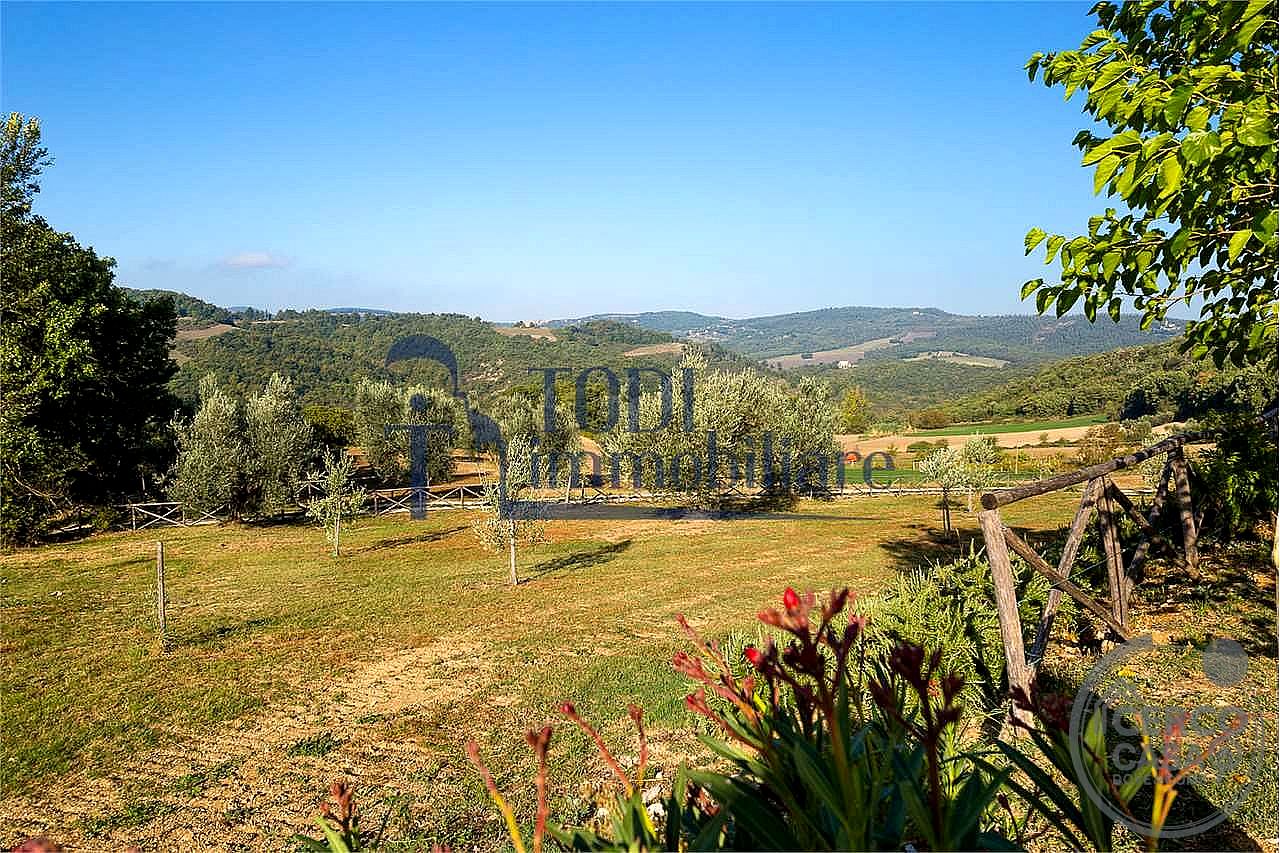 RUSTICO - CASALE VENDITA AMELIA · foto 23