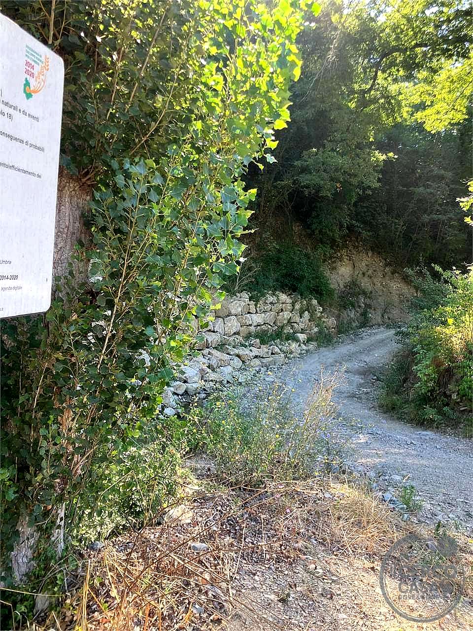 RUSTICO - CASALE VENDITA AMELIA · foto 3