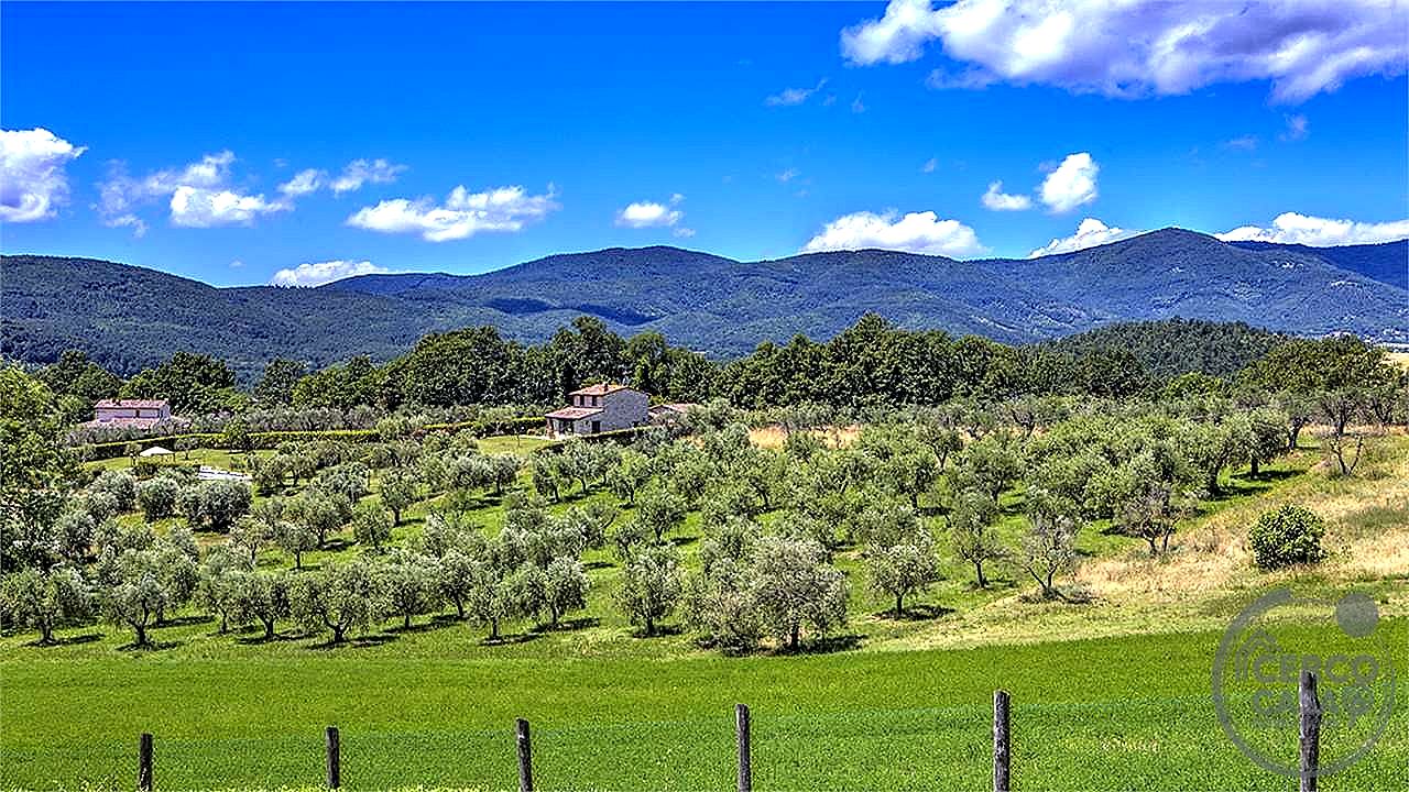 RUSTICO - CASALE VENDITA AMELIA · foto 13