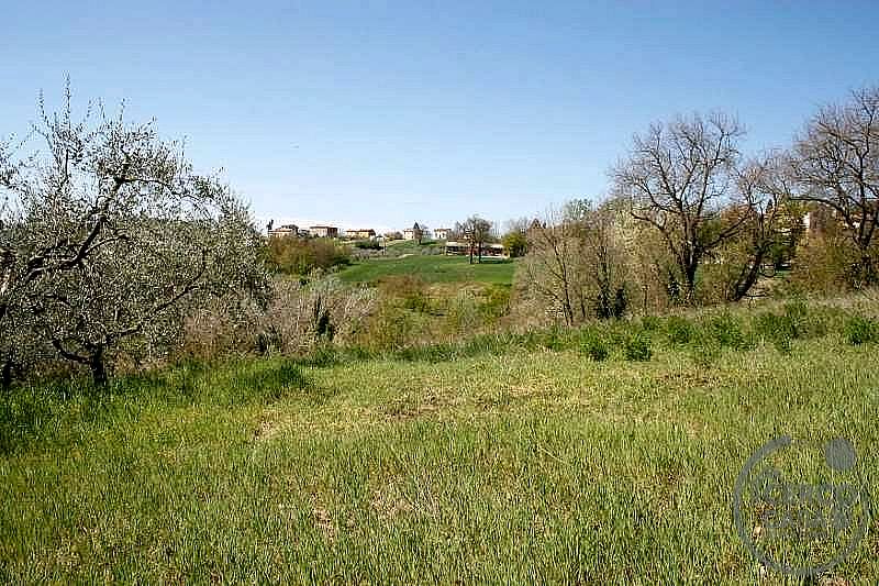 RUSTICO - CASALE VENDITA TODI · foto 3