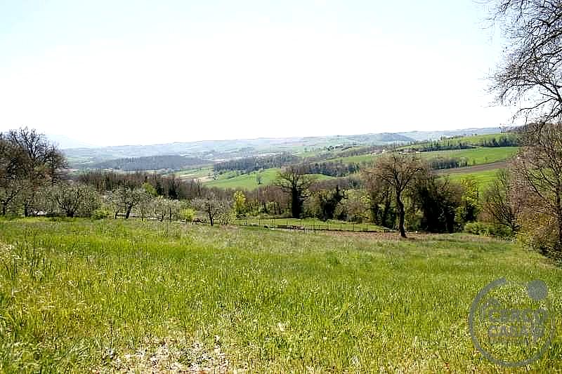 RUSTICO - CASALE VENDITA TODI · foto 6