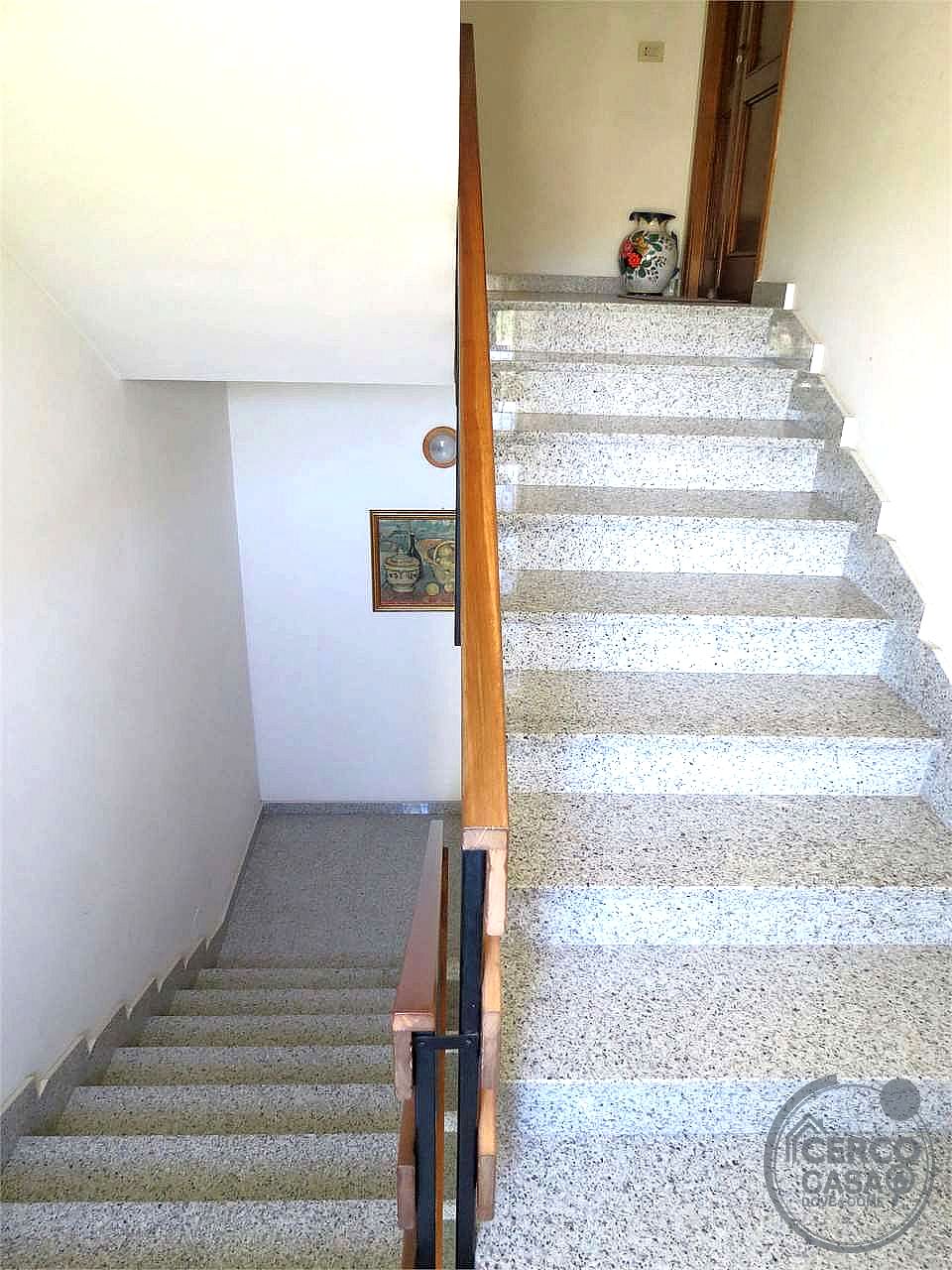 VILLA VENDITA BASCHI · foto 13