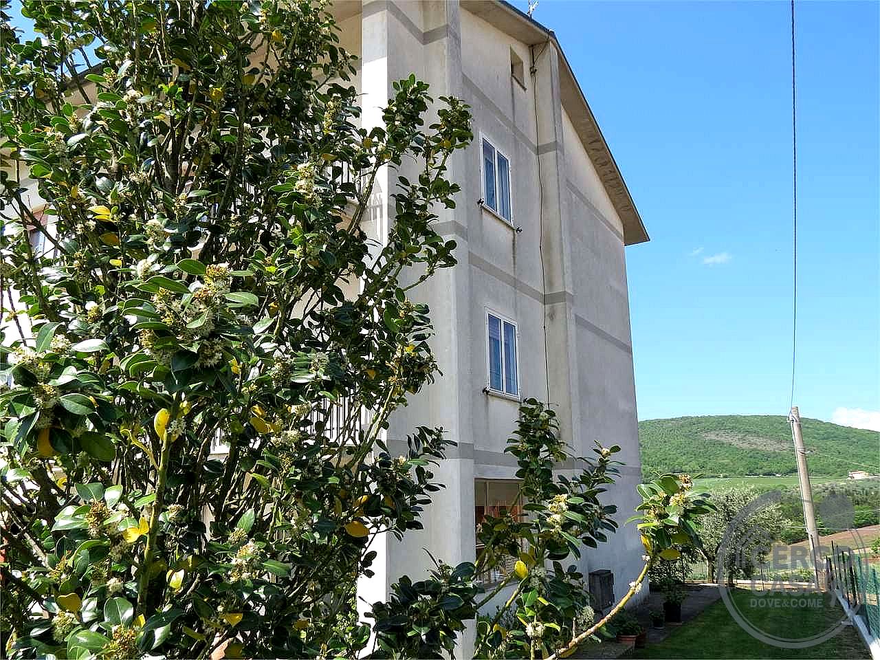 VILLA VENDITA BASCHI · foto 3
