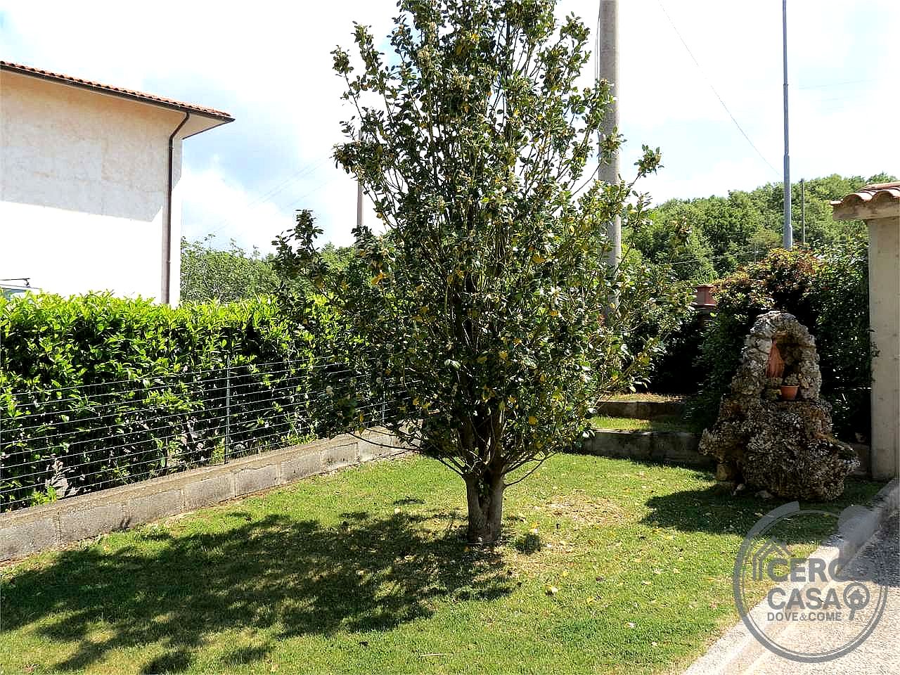 VILLA VENDITA BASCHI · foto 4