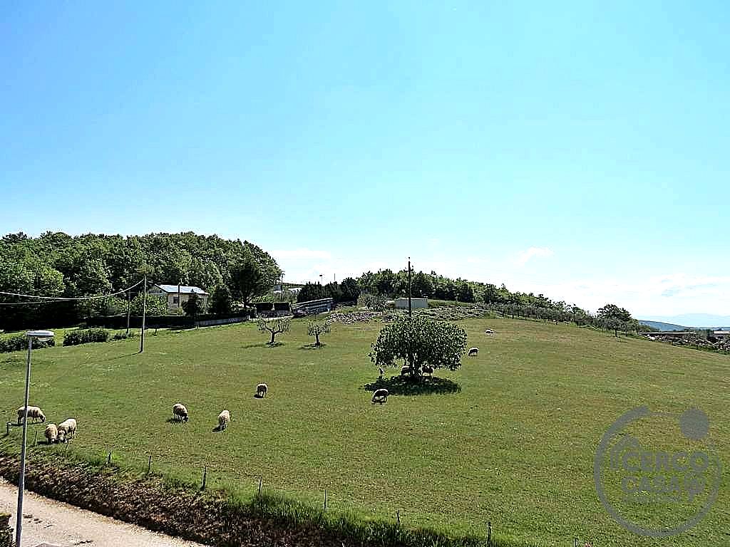 VILLA VENDITA BASCHI · foto 6
