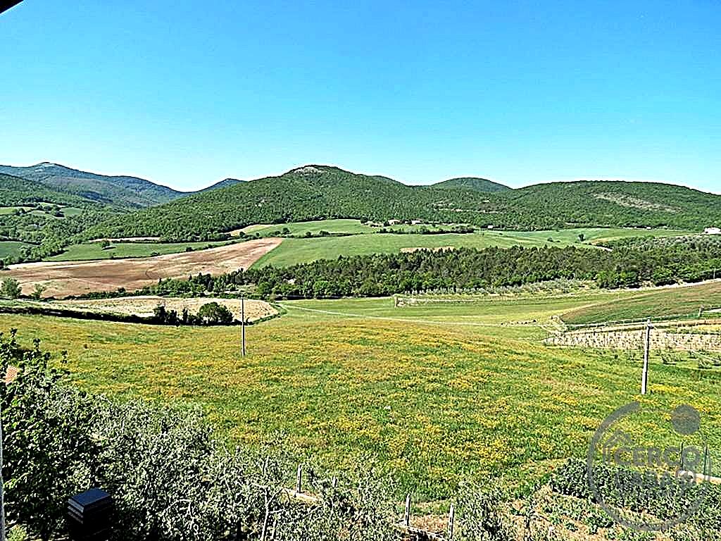 VILLA VENDITA BASCHI · foto 7