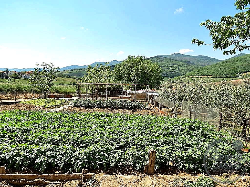 VILLA VENDITA BASCHI · foto 8