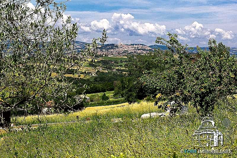 RUSTICO - CASALE VENDITA TODI · foto 5