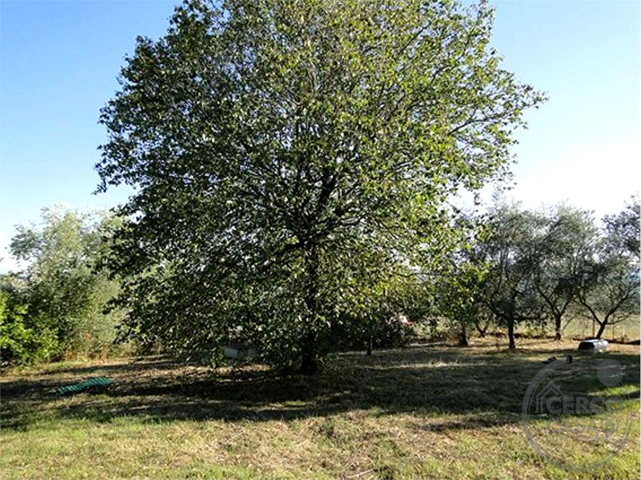 TODI - ILCI - CASA INDIPENDENTE CON GIARDINO