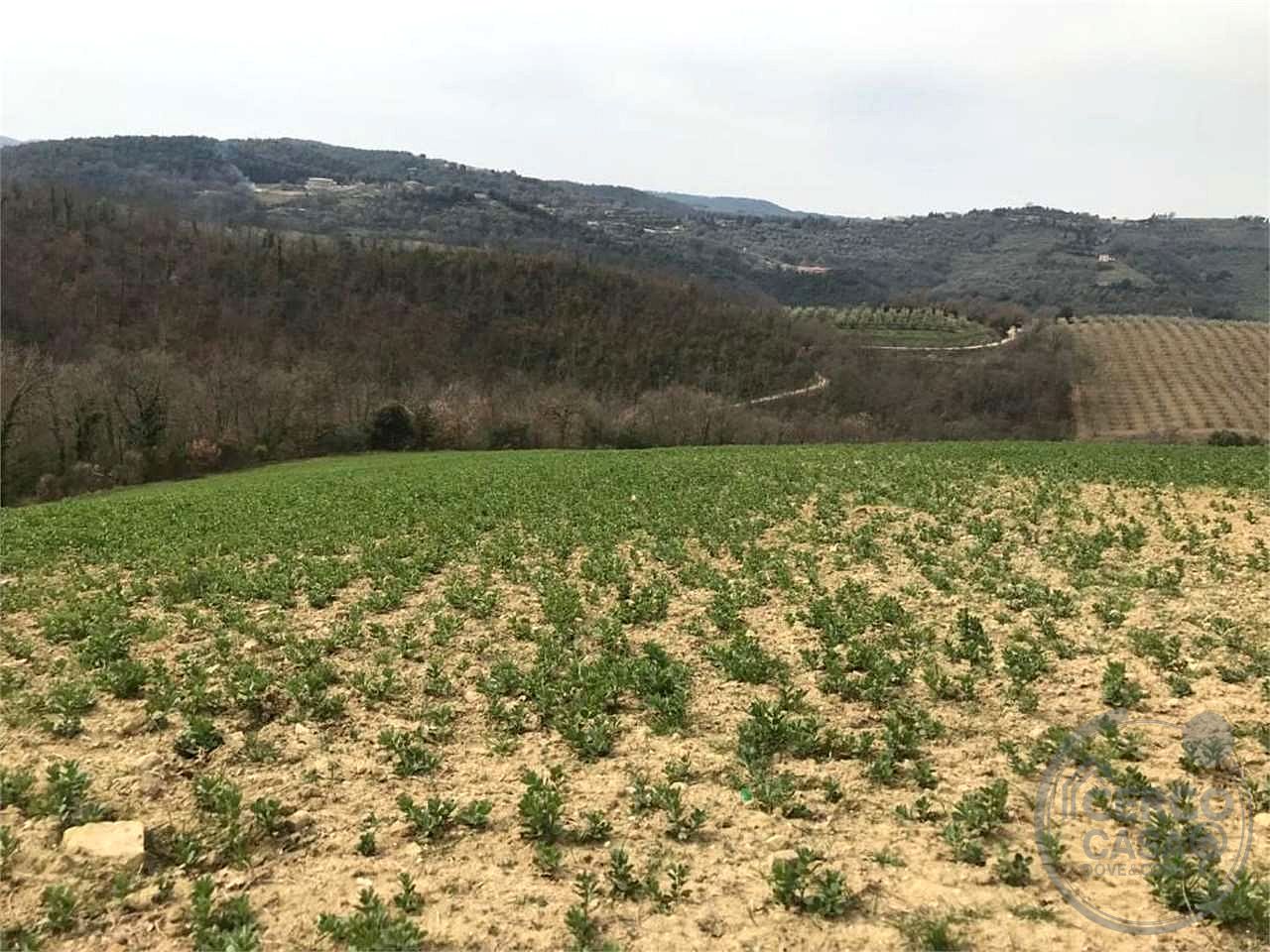 BETTONA - CASALE DA RISTRUTTURARE CON TERRENO