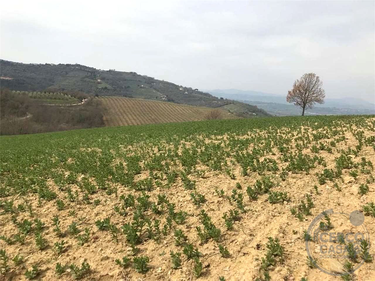 BETTONA - CASALE DA RISTRUTTURARE CON TERRENO
