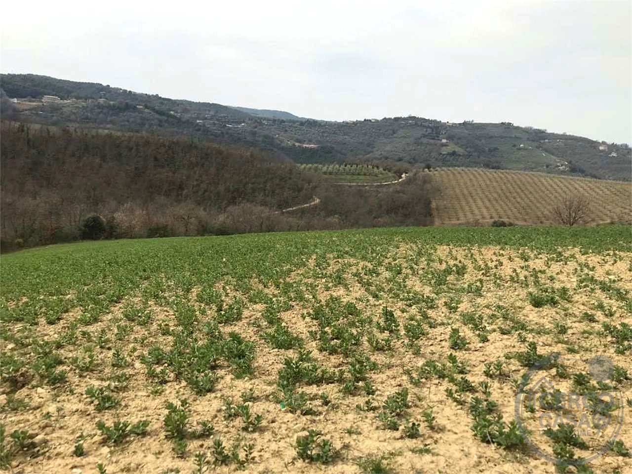 BETTONA - CASALE DA RISTRUTTURARE CON TERRENO