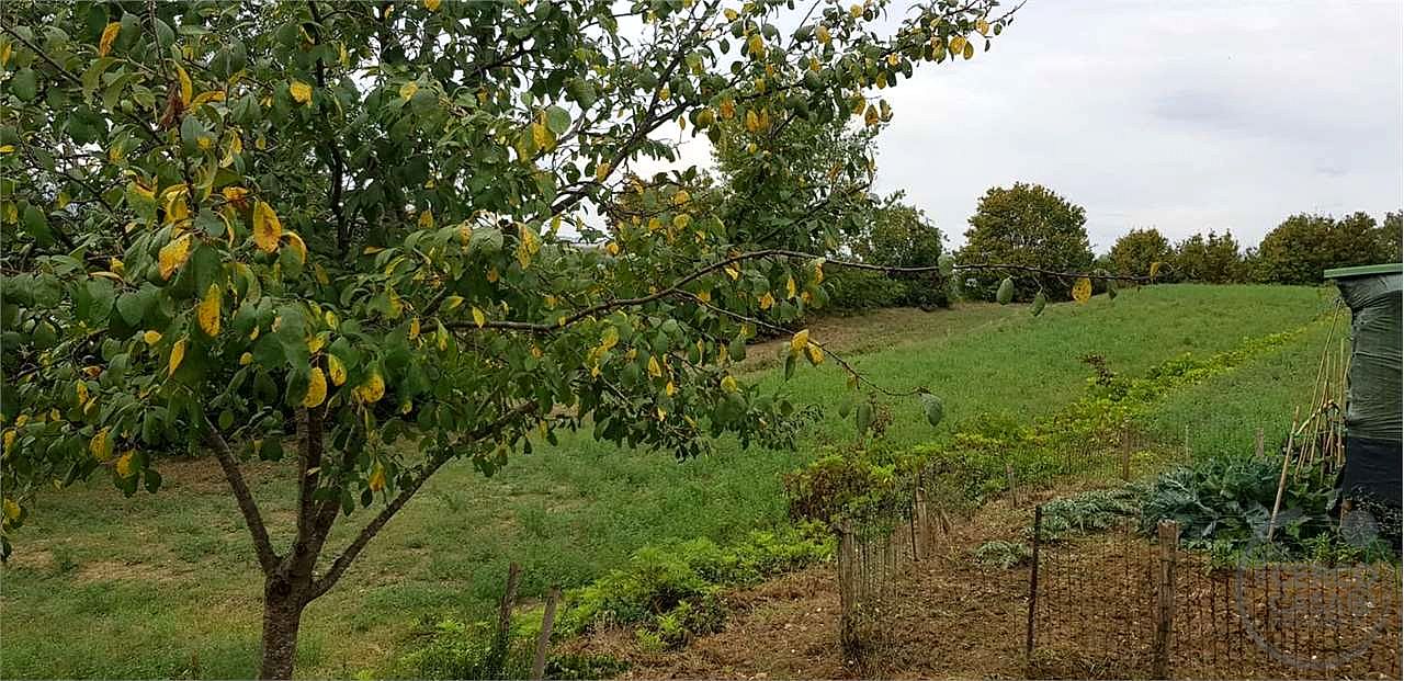 COLLAZZONE - ACQUASANTA - CASA INDIPENDENTE