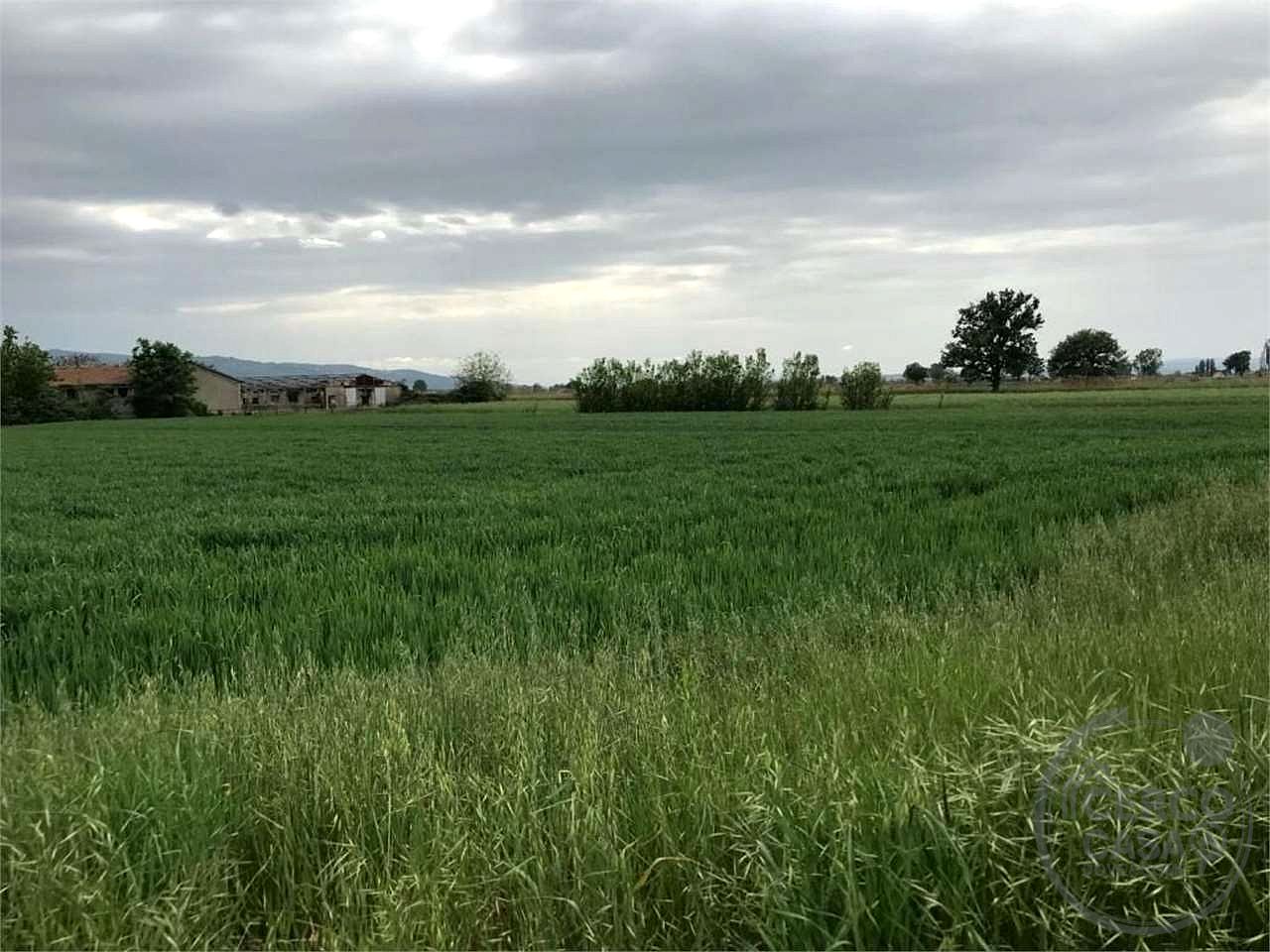 ASSISI - CASTELNUOVO: TERRENO EDIFICABILE