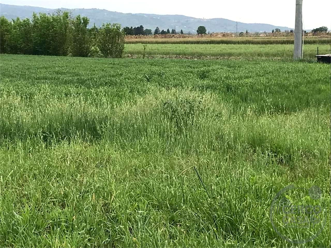 ASSISI - CASTELNUOVO: TERRENO EDIFICABILE