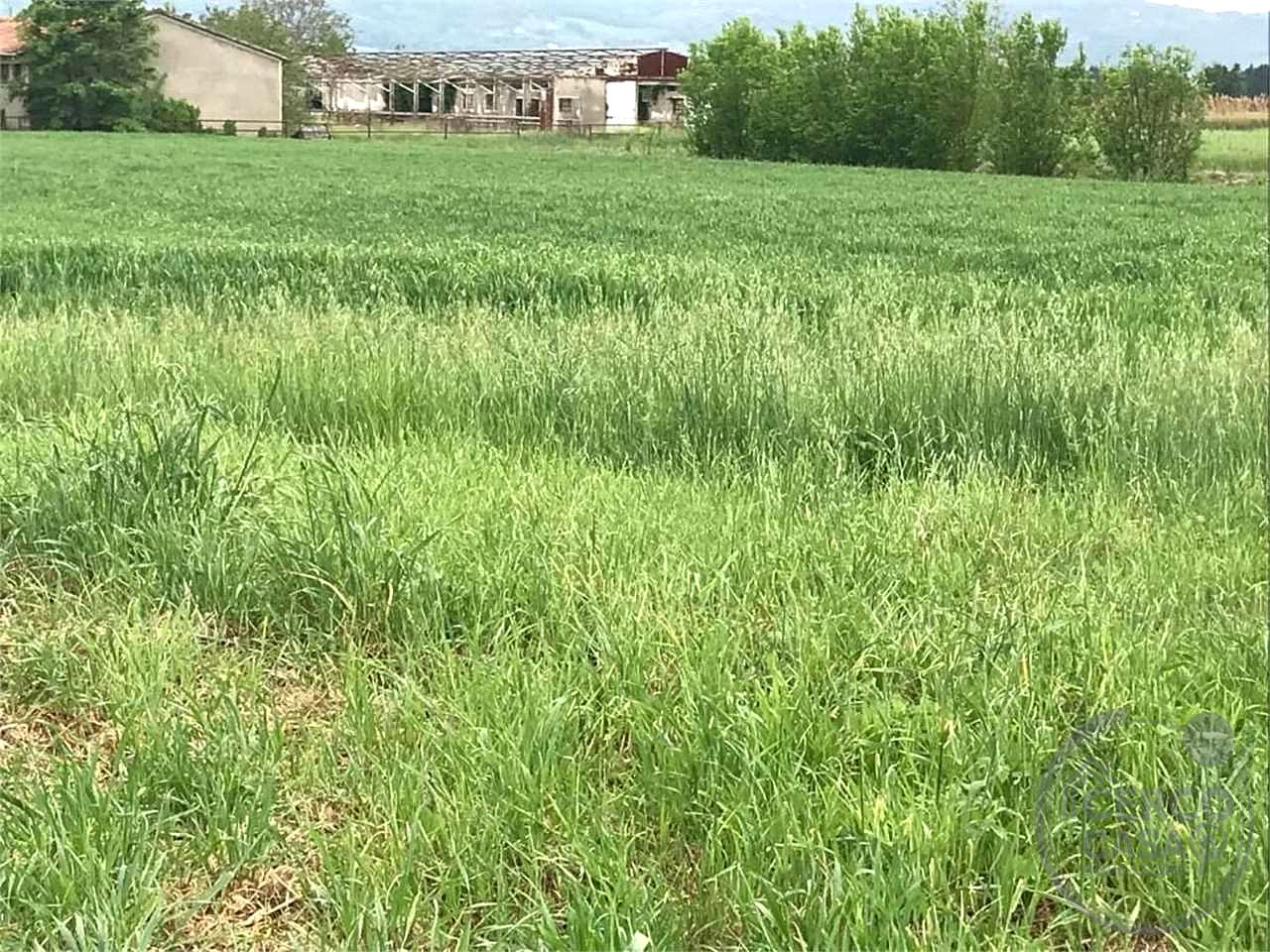 ASSISI - CASTELNUOVO: TERRENO EDIFICABILE