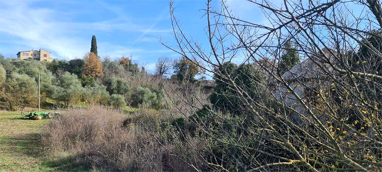 TODI - CASALE CON TERRENO
