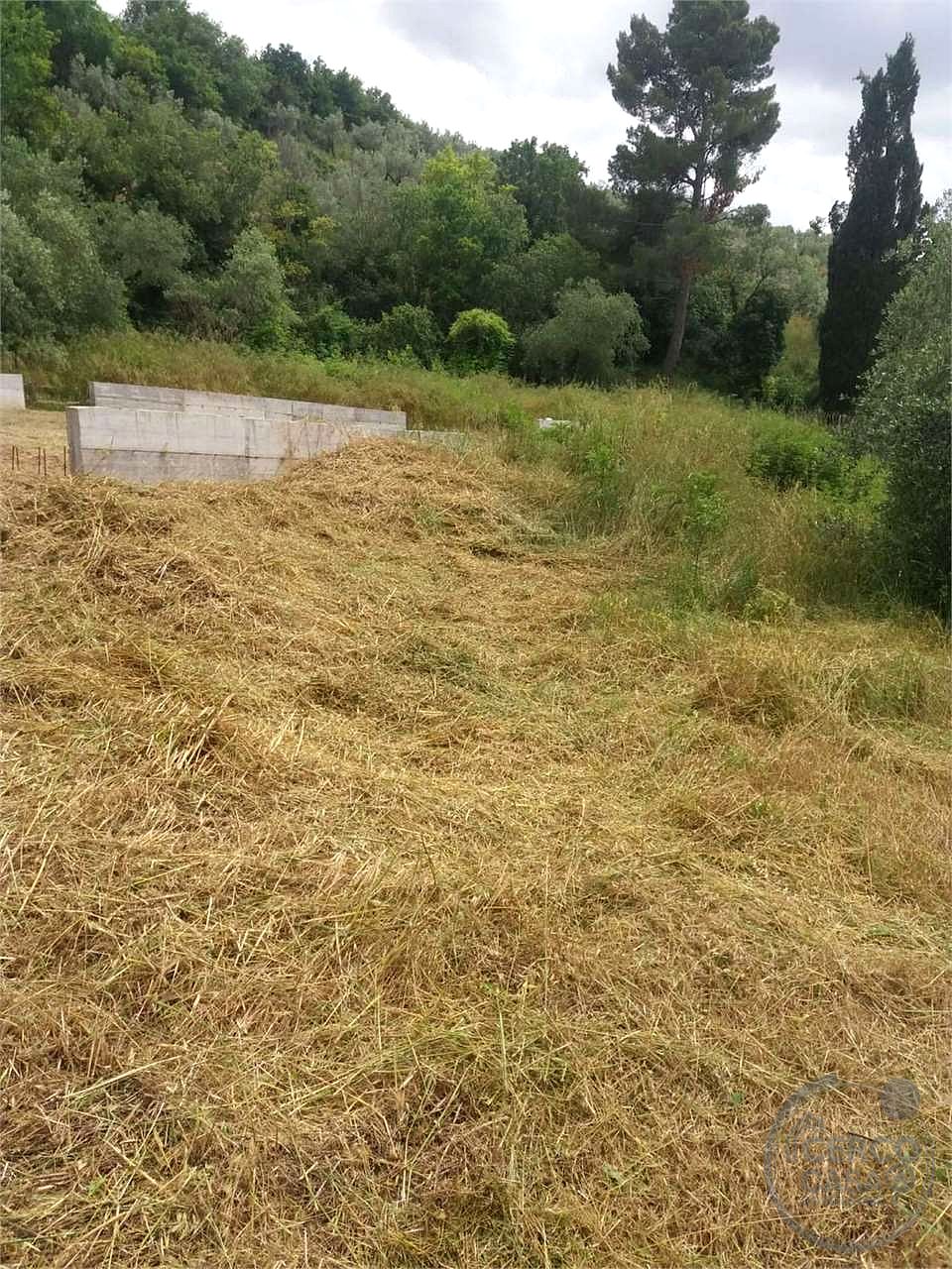 FOLIGNO - CARPELLO - TERRENO EDIFICABILE
