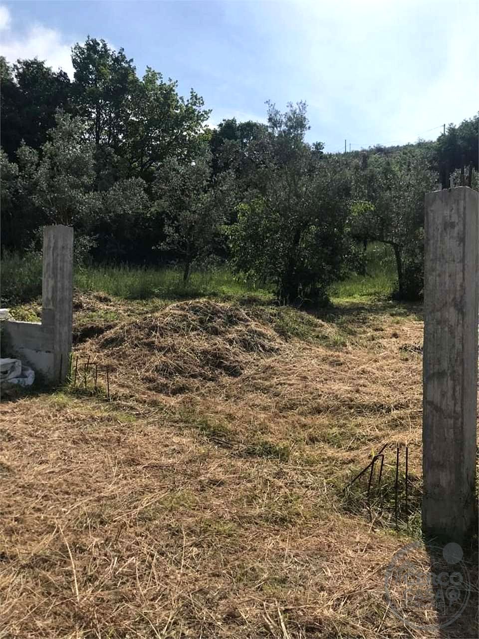 FOLIGNO - CARPELLO - TERRENO EDIFICABILE