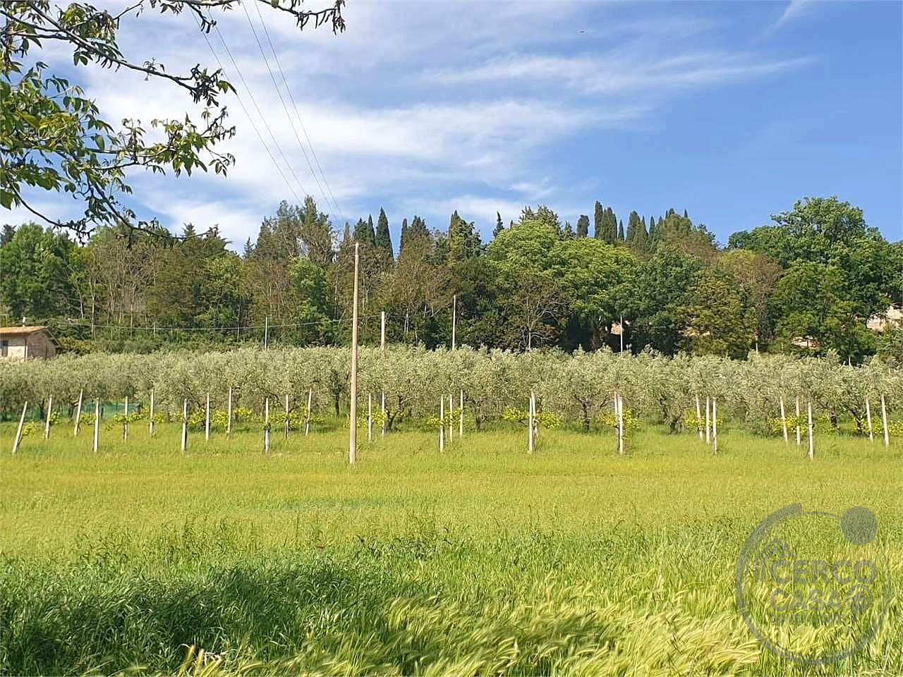 ASSISI - TERRENO AGRICOLO