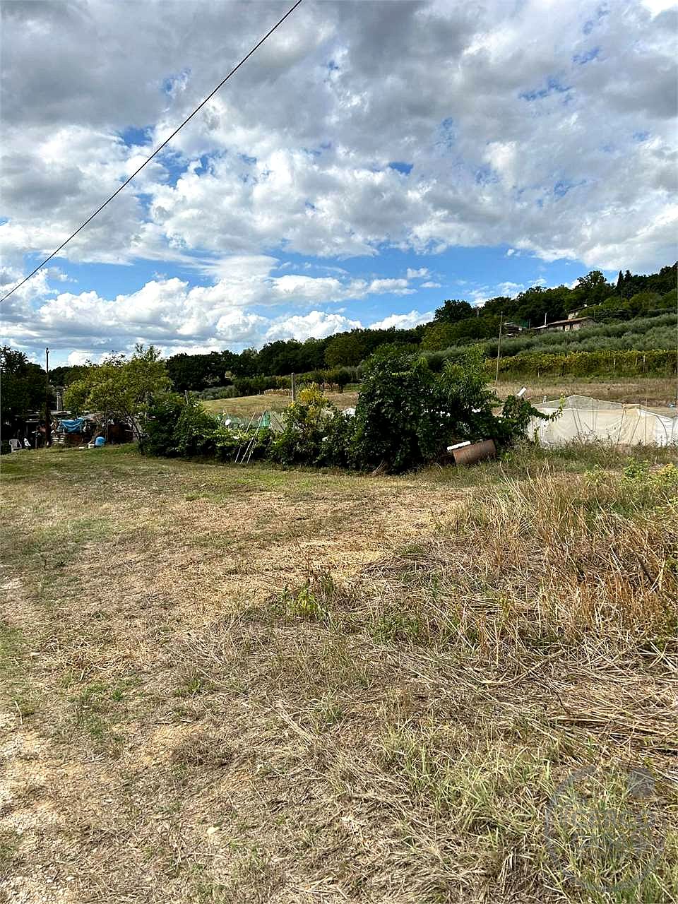 ASSISI - TERRENO AGRICOLO