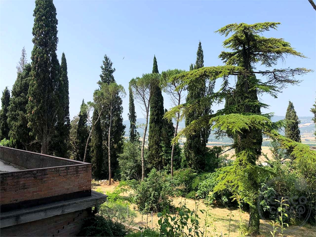 TODI - ILCI - CARATTERISTICO CIELO TERRA
