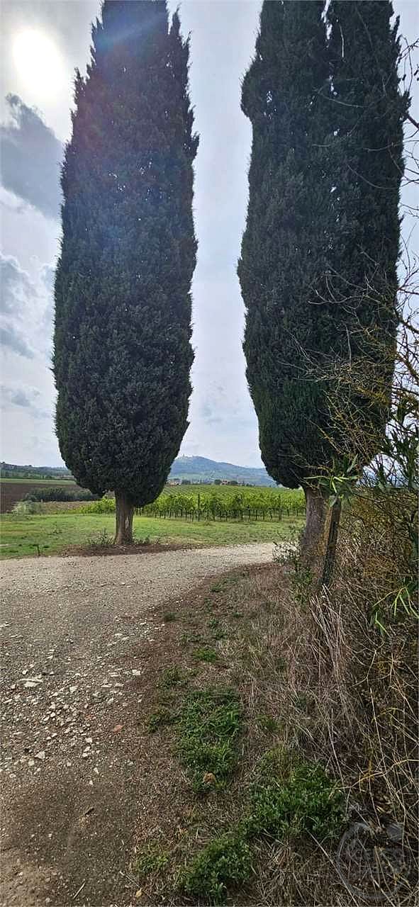 TODI - CASALE CON TERRENO