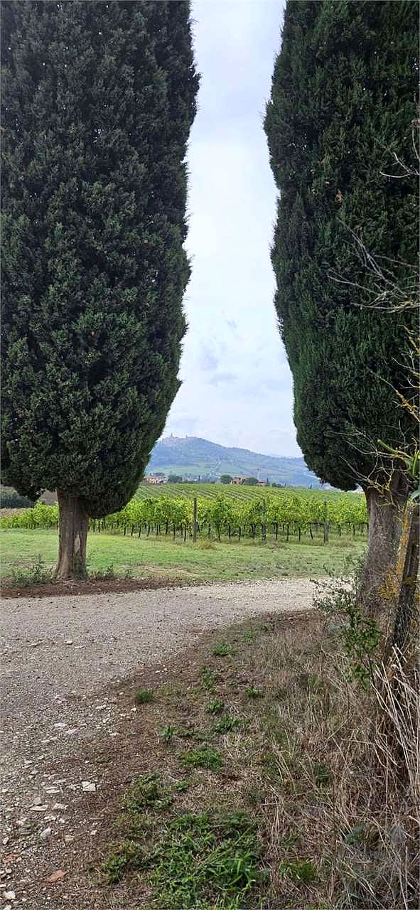 TODI - CASALE CON TERRENO