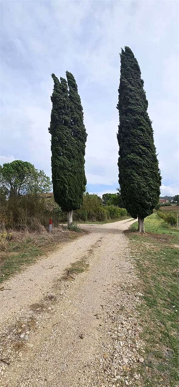 TODI - CASALE CON TERRENO